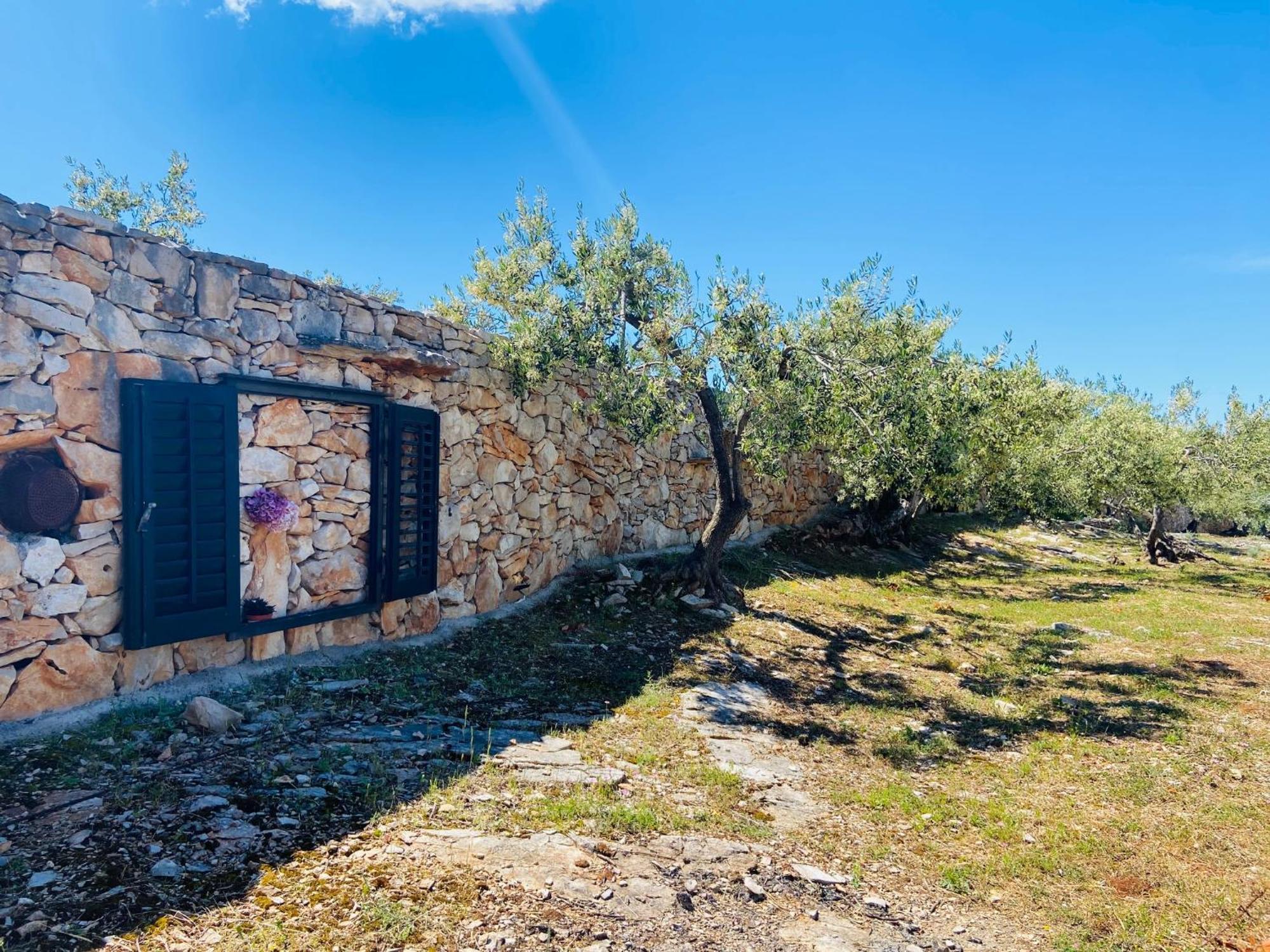 סופטאר Villa Fani מראה חיצוני תמונה